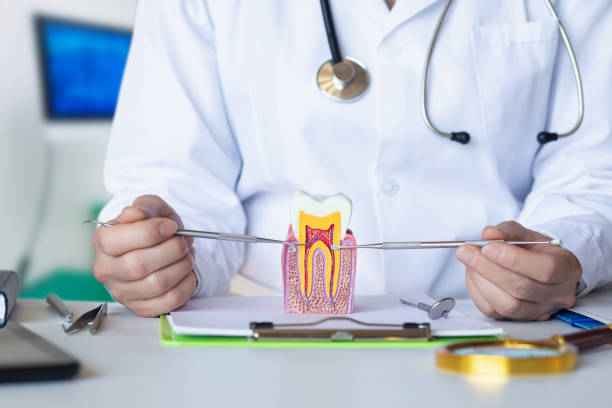Best After-Hours Emergency Dentist in Mount Airy, MD